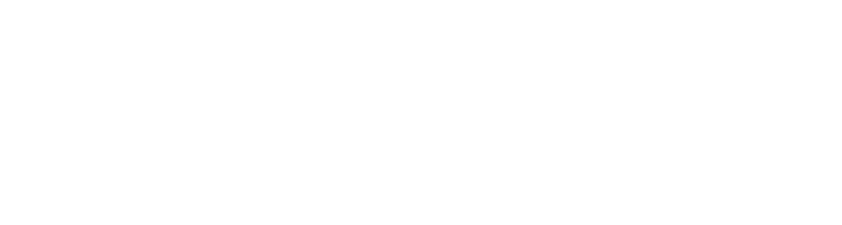 FleetCentinel